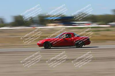 media/Oct-04-2025-OnGrid (Sat) [[44bd565ffa]]/Green Group/Grapevine/